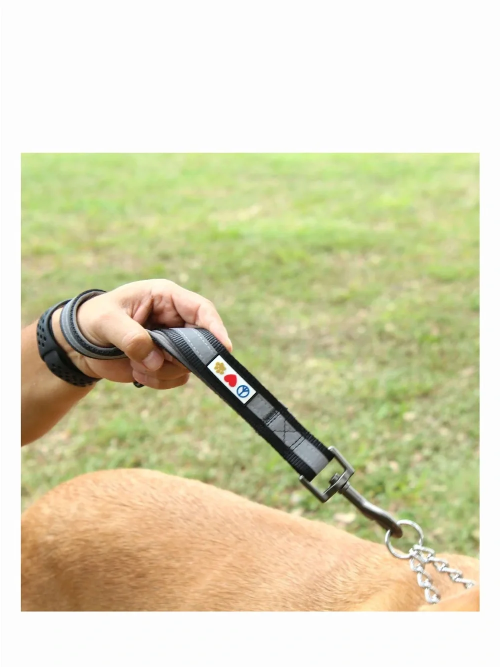NEW Reflective Padded Short Dog Leash in Camo